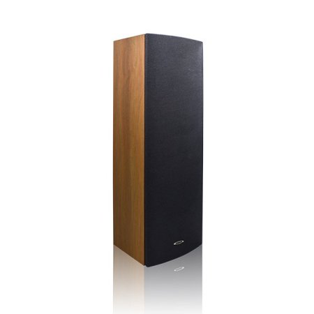 DSP203II Indoor Column Speaker <br> <span class='text-color-warm'>سيتوفر قريباً</span>